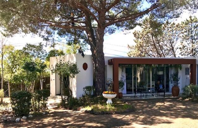 La Cactee Singuliere Bed & Breakfast Beziers Bagian luar foto